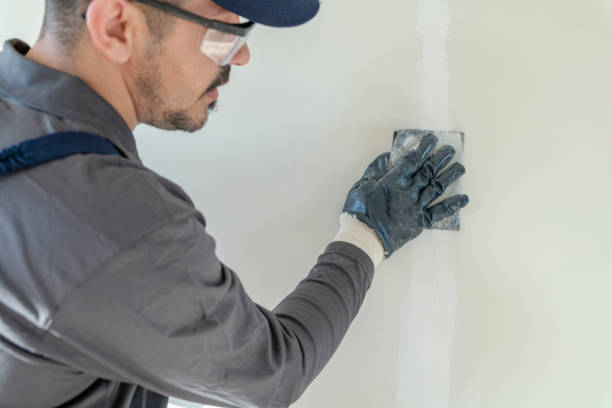Best HVAC Mold Inspection and Cleaning  in Bellevue, KY
