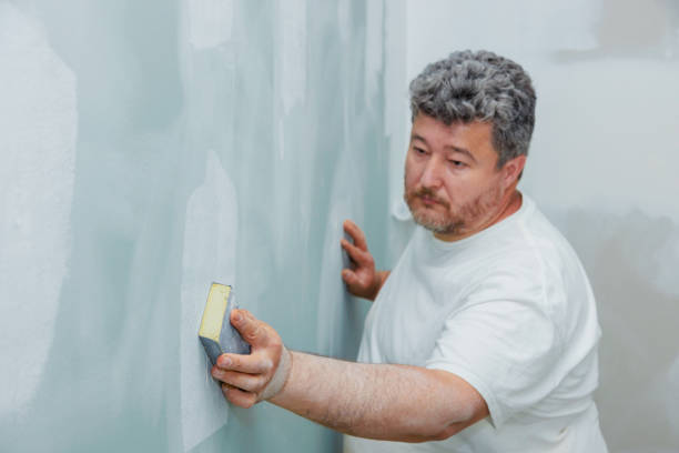 Best Forensic Mold Investigation  in Bellevue, KY