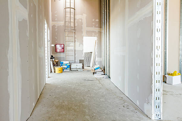 Mold Removal for HVAC Installations in Bellevue, KY